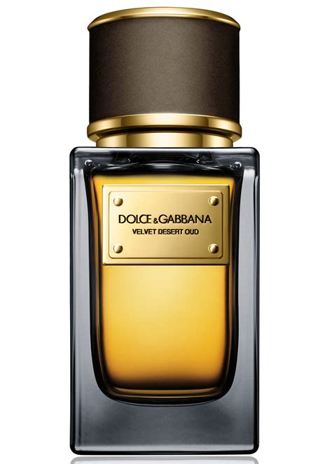 dolce gabbana velvet desert oud buy|velvet collection desert oud milestone.